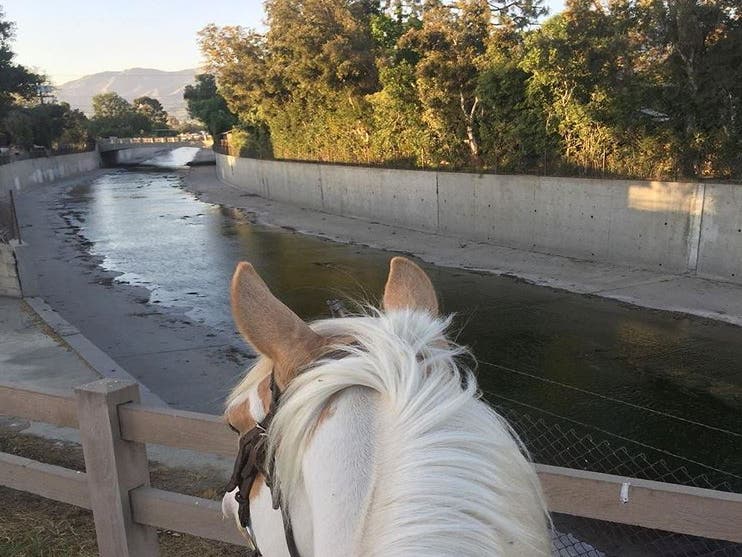 Los Angeles River | Instagram by @careaboutmypics