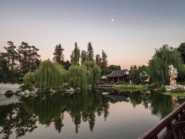 Summer Evening Stroll at the Chinese Garden in The Huntington Library